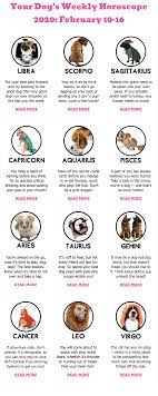 Your Dog S Weekly Horoscope 2020 February 10 16 Dog Horoscope Horoscope Horoscope 2020