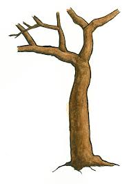 Image result for images of the tree trunk