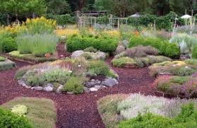 Check spelling or type a new query. Ground Covers And Stepables