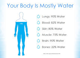 Holds around 92% of that water. How Much Water Do You Need