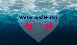 People born under cancer sign are very lovable, caring, but they are introvert tricky and diplomatic as well. Love Compatibility Between The Water Signs Cancer Scorpio And Pisces