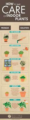 Infographic On How To Take Care Of Indoor Plants Plants House Plants Indoor Large Indoor Plants