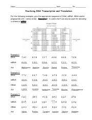 #2 a c t dna: Kami Export Translation Practice Pdf Name Date Per Practicing Dna Transcription And Translation For The Following Examples Give The Appropriate Course Hero