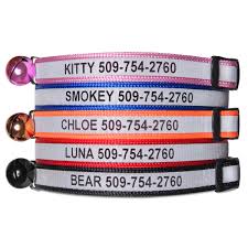 Personalized Glow in the Dark and Reflective Breakaway Cat Collar
