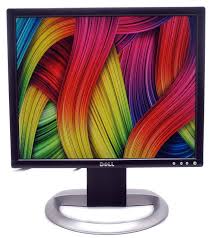 Dell 1907FPVT