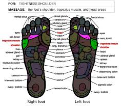 Foot Massage Therapy Herbalshop Feet Massage Therapy Ear Massage Foot Massage