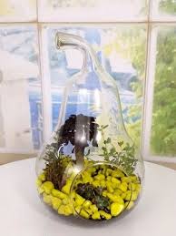 Kucuk Cam Armut Teraryum Terraria Teraryumlar Terrarium