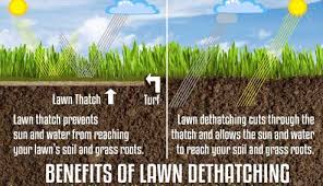 This easy method of dethatching will remove the. Lawn Dethatching Rochester Lawn Care