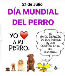 Celebran famosos el día del perro. Nik On Twitter 21 De Julio Feliz Dia Mundial Del Perro