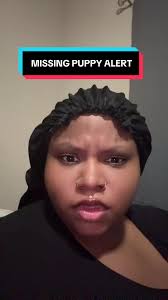 Lost Dog in Gainesville Georgia