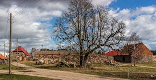 Aktuelle haus uckermark immobilien ✓ von 95.000 eur bis 615.000 eur ✓ mehr als 100 unterschiedliche angebote von 13 portalen vergleichen. Brandenburg Lese Uckermark