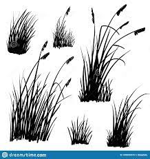 Beach Grass Silhouettes On White Stock Vector Illustration Of Drawn Herb 189095078 Grass Silhouette Grass Drawing How To Draw Hands