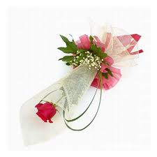 Apabila daerah anda hanya memiliki satu musim, kemungkinan besar anda tidak perlu memberikan pupuk sama sekali. Bunga Tangan Ayana Flowers