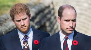 Lady kitty spencer is the cousin of princes william and harrycredit: Prince William And Harry S Cousin Lady Kitty Ties The Knot With 62 Year Old Billionaire