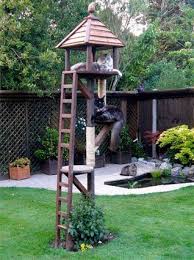 Grass Trees Koi Pond Platforms Shade Climbing Scratching Birdwatching Sh Modern Design In 2020 Katzenhaus Im Freien Holzhutte Garten Hintergarten