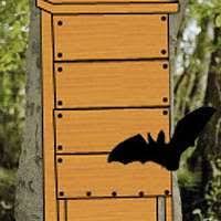 Bauanleitung Fur Einen Fledermauskasten Fledermauskasten Kasten Fledermaushaus