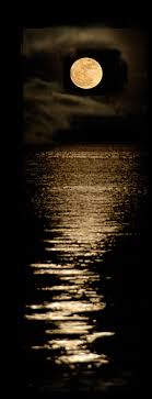 Photographic Art Victoria, Klaus Bohn, Broadmead and Cordova Bay BC