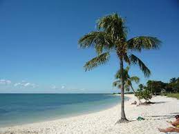 View photos, see new listings, compare properties and get information on open houses. The Beautiful Sombrero Beach Picture Of Sombrero Beach Marathon Tripadvisor