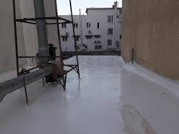 Image result for Monosis