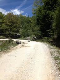 We did not find results for: Wikiloc Picture Of Fine Strada Bianca 1 1