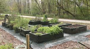 Raised garden beds are the kitchen gardener's secret weapon. The Ultimate Guide To Raised Beds The Impatient Gardener