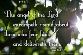 Salt & Light on Twitter: "The angel of the Lord encampeth round ...