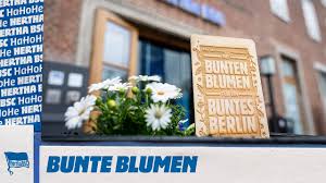 Nike europe exclusive hertha bsc berlin shirt camiseta kit jersey size small db. Mit Bunten Blumen Fur Ein Buntes Berlin Hertha Bsc Maneo Youtube