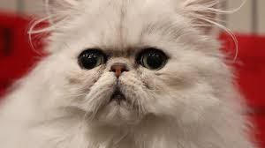 Many people stay away from bone marrow donation, fearing the side effects. V8djxt2pbd9otm