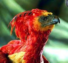 It's due to launch alongside the 20th. Phoenix ×—×• ×œ Ancient Jewish Arabian Persian Greek Roman Egyptian Chinese Phoenician My Harry Potter Creatures Phoenix Harry Potter Harry Potter Wand