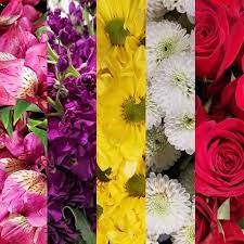 Davis Wholesale Florist Home Facebook