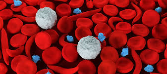 Sickle Cell Disease Johns Hopkins Medicine
