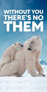 Trump Fumes as Fraud Trial Starts New Phase of Legal Peril