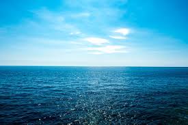 Oceans Are Warming Faster Than Predicted Scientific American The images were taken off the coast of hawaii in the dead of night with a special camera and. oceans are warming faster than