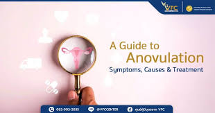 Image result for Anovulation