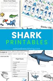 In this site you will find a lot of coloring pages in many kind of pictures. The Best Shark Printable Activities For Kids Shark Lesson Plans Natural Beach Living