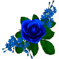 Yandeks Fotki Liked On Polyvore Featuring Flowers Flower Painting Flower Background Wallpaper Rose Flower Png
