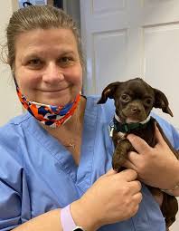 Highly Pathogenic Avian Influenza Meet Nat Geo WILD'S Critter Fixers:  Country Vets Emerald Coast Veterinary Conference In