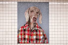 This Subway Station In Nyc Installs Stunning Mosaics Of Canine After Renovation In 2020 William Wegman Colorful Dog Ny Subway