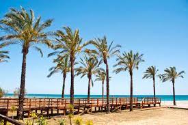 Most frequently booked panama city beach hotels. Villarreal Cf Campus Y Torneos Activities