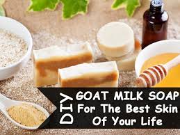 diy goat milk soap for the best skin of
