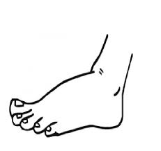 Foot Coloring Page Sketch Coloring Page Coloring Pages Anatomy Coloring Book Preschool Coloring Pages