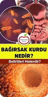 Hurma Cekirdeginin Faydalari Doktordan Once Hiit Workout Hiit Workout