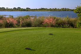 Tee box is an informal term, a colloquialism; The Smart Approach To Tee Box Renovations Brightview
