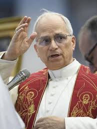 Some photos from today's General Audience of Pope Leo held at St Peter's  Square. #freedom #santa