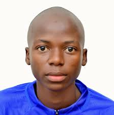 When they say “starlink terminal” do they mean the router?