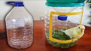 How To Make Water Bottle Bird Bath Budgie Youtube