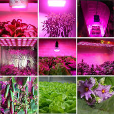 Maybe you would like to learn more about one of these? Best 600w1200w 1800w 2700w Led Grow Light Full Spectrum For Indoor Plants Veg Fruit Medical Grow Led Light Hydroponic System Led Grow Light Full Spectrum Full Spectrumled Grow Aliexpress