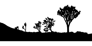 Remember, we include assembly videos for all of our free svg files, you'll find them on the product page just below. Desert Joshua Trees Landscape Free Vector Graphic On Pixabay