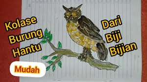 Gunakan fitur sortir canggih, tanpa atribut. Gambar Burung Hantu Kolase Biji Crimealirik Page