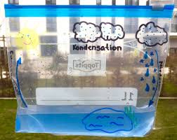 Wetterforscher Der Wasserkreislauf Forschen Bloggen Fur Kinde Wasserkreislauf Wissenschaftsexperimente Fur Kinder Wissenschaftliche Experimente Fur Kinder